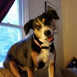 Meet your Posher, Teri